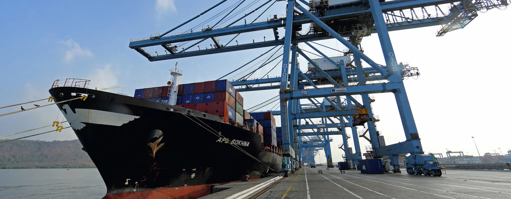 A container ship is moored beneath cargo cranes at an Indian port.