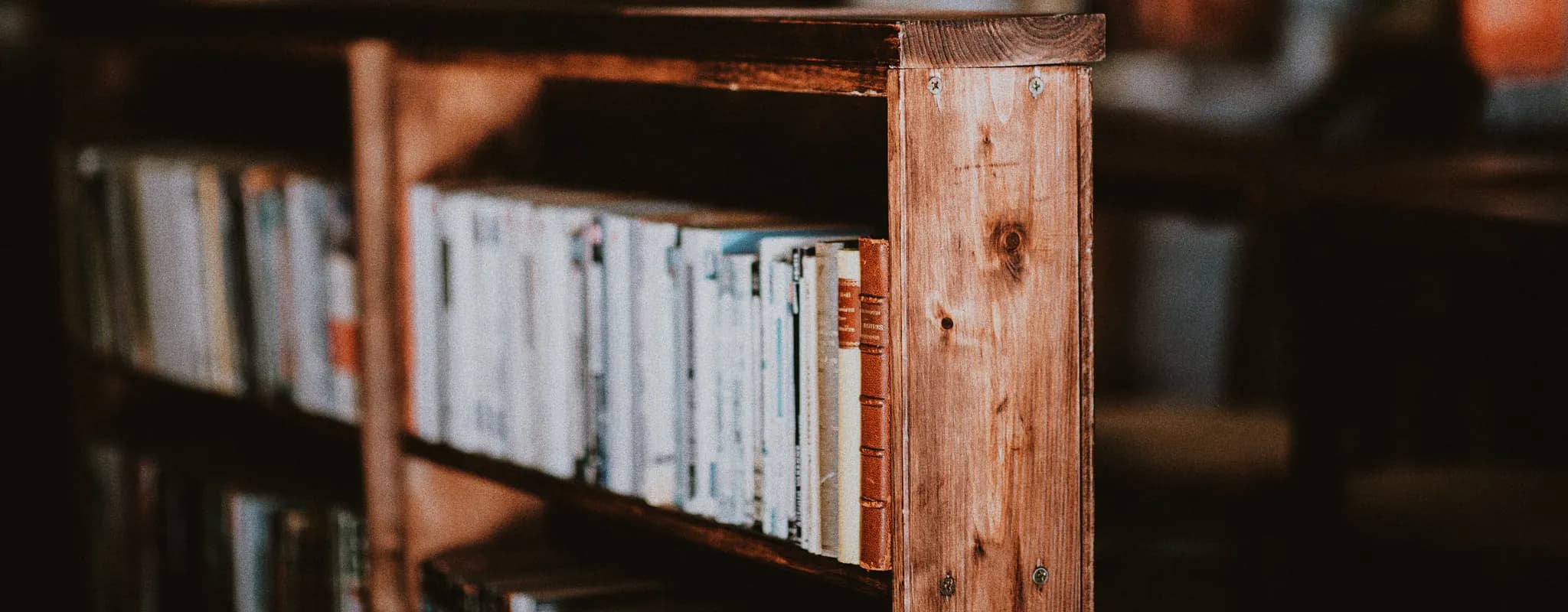 Rows of old reference books on a wooden shelf in a softly lit library.