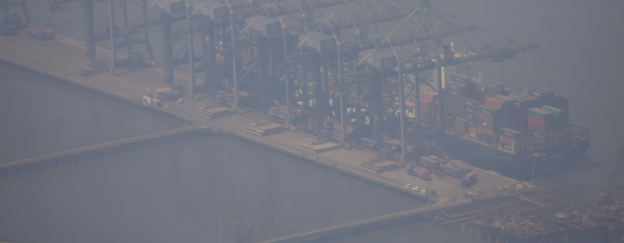 A container ship is unloaded by rows of cranes at Mumbai port.