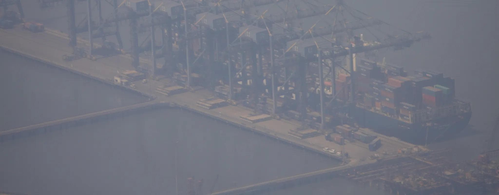 A container ship is unloaded by rows of cranes at Mumbai port.